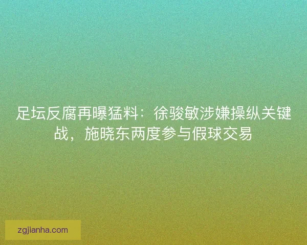 足坛反腐再曝猛料：徐骏敏涉嫌操纵关键战，施晓东两度参与假球交易