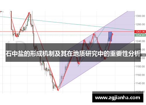 石中盐的形成机制及其在地质研究中的重要性分析